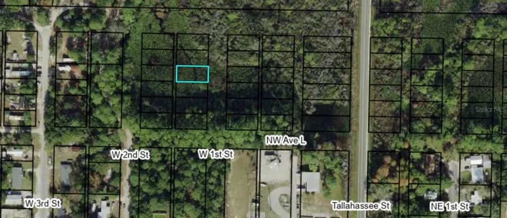 1307 W 1ST STREET Carrabelle, FL 32322