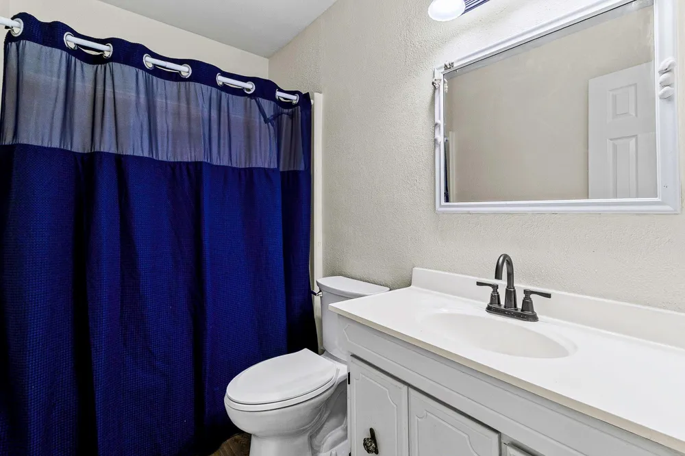 51 Rustling Oaks Street Coldspring, TX 77331