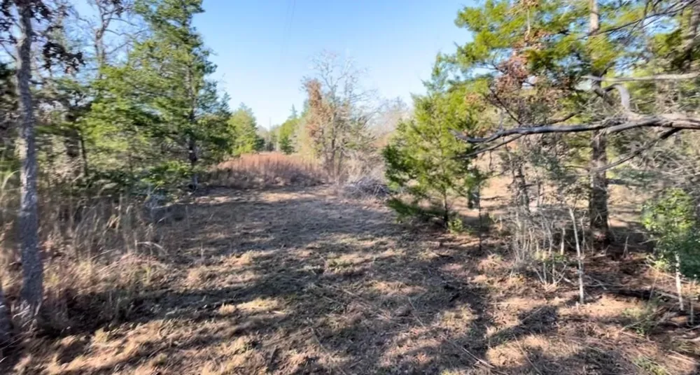 Shoreline Drive Somerville, TX 77879