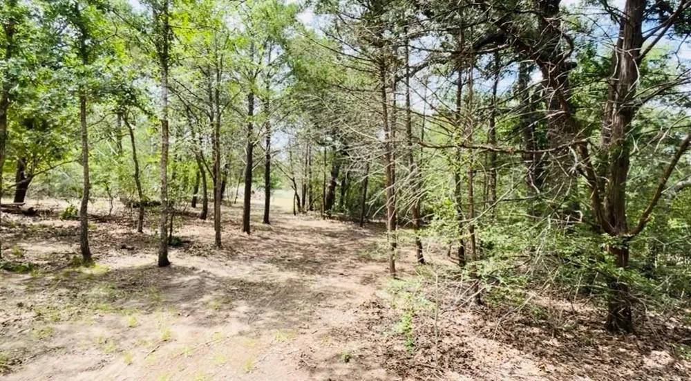 Shoreline Drive Somerville, TX 77879