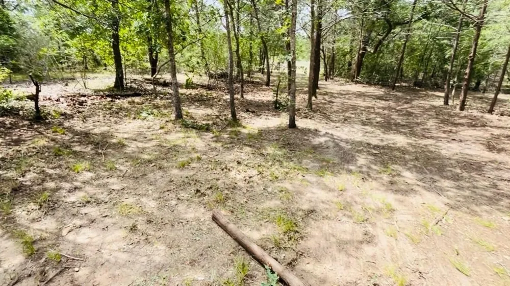 Shoreline Drive Somerville, TX 77879