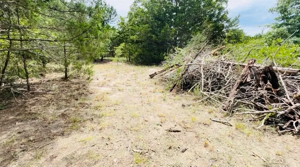 Shoreline Drive Somerville, TX 77879