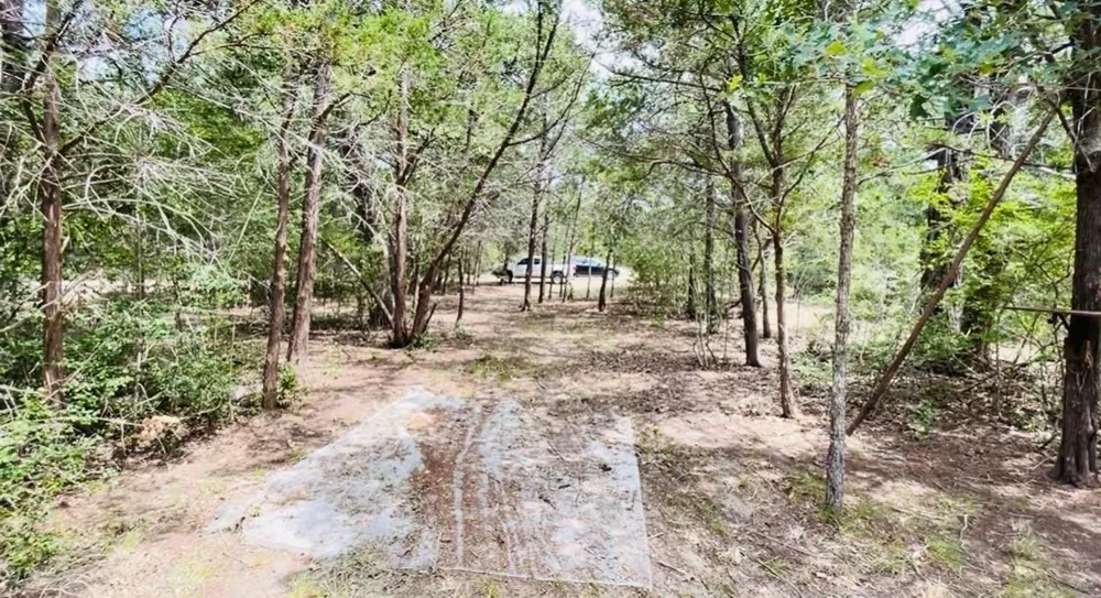 Shoreline Drive Somerville, TX 77879