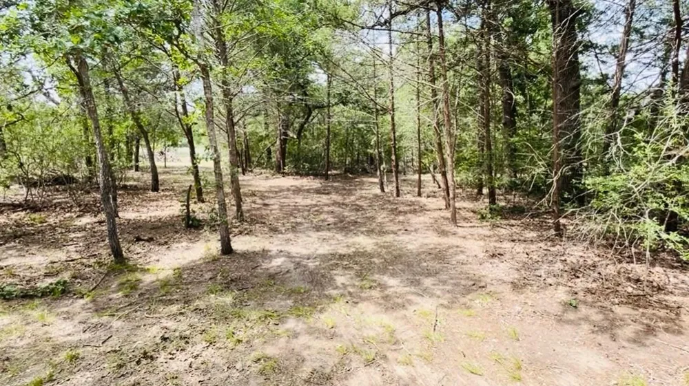 Shoreline Drive Somerville, TX 77879