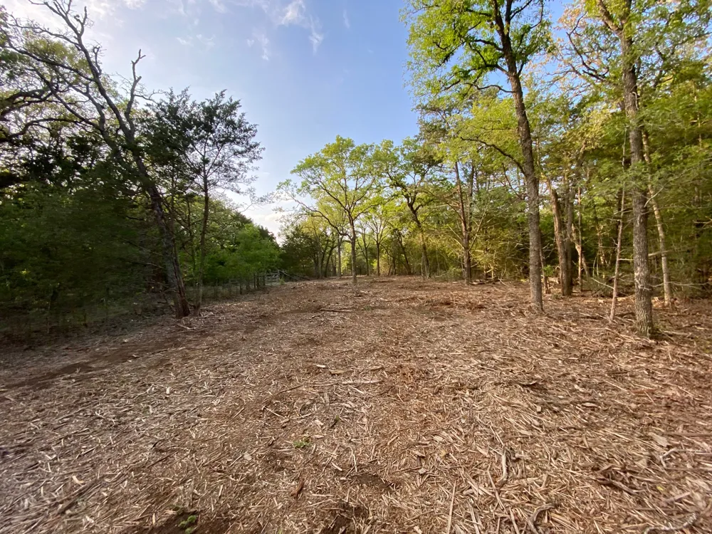 1 Paffen Drive Paige, TX 78659