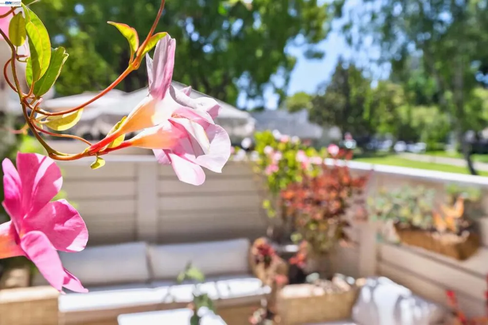 7483 Stonedale Dr Pleasanton, CA 94588