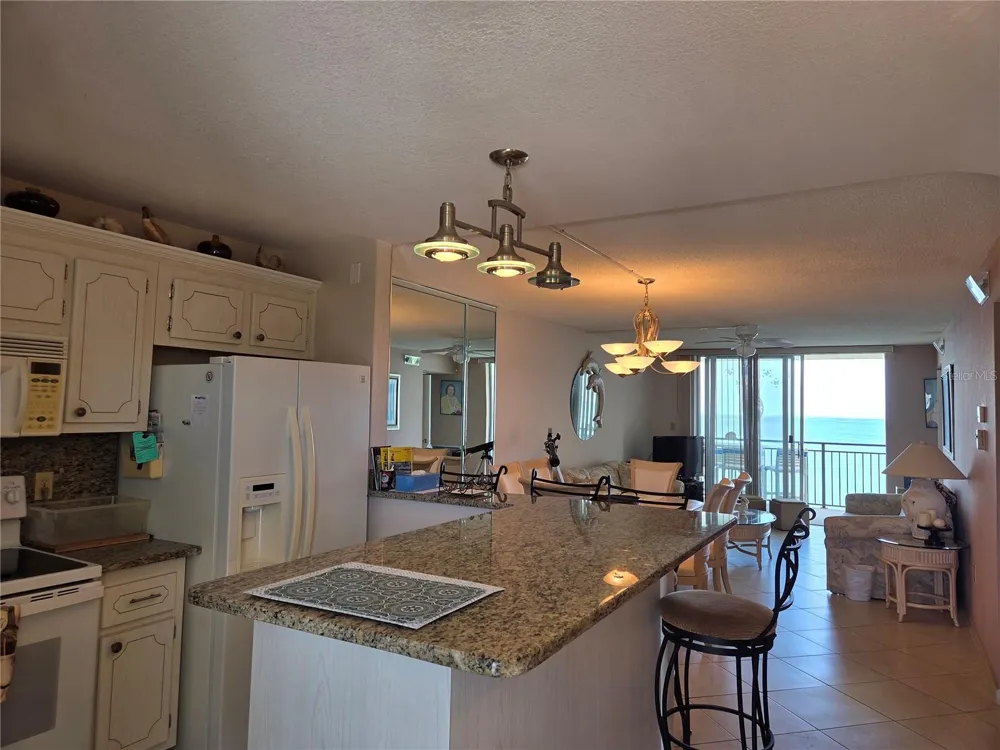 9 HAIG PLACE #405 Dunedin, FL 34698