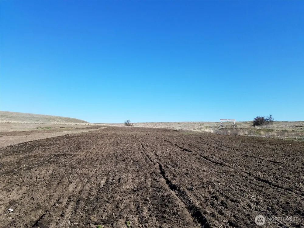 24400 Lot A Seven Springs Dairy Road Davenport, WA 99122