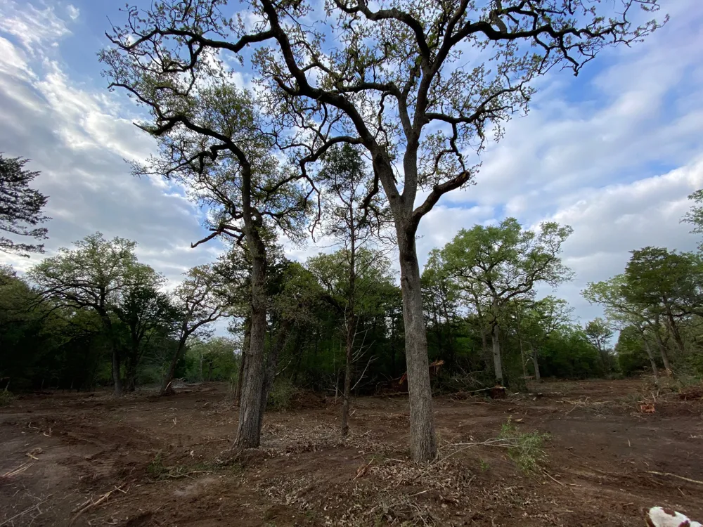 2 Paffen Drive Paige, TX 78659