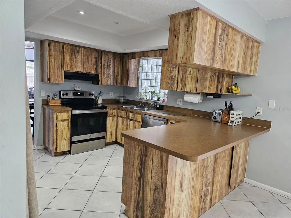 18322 SWAN LAKE DRIVE Lutz, FL 33549