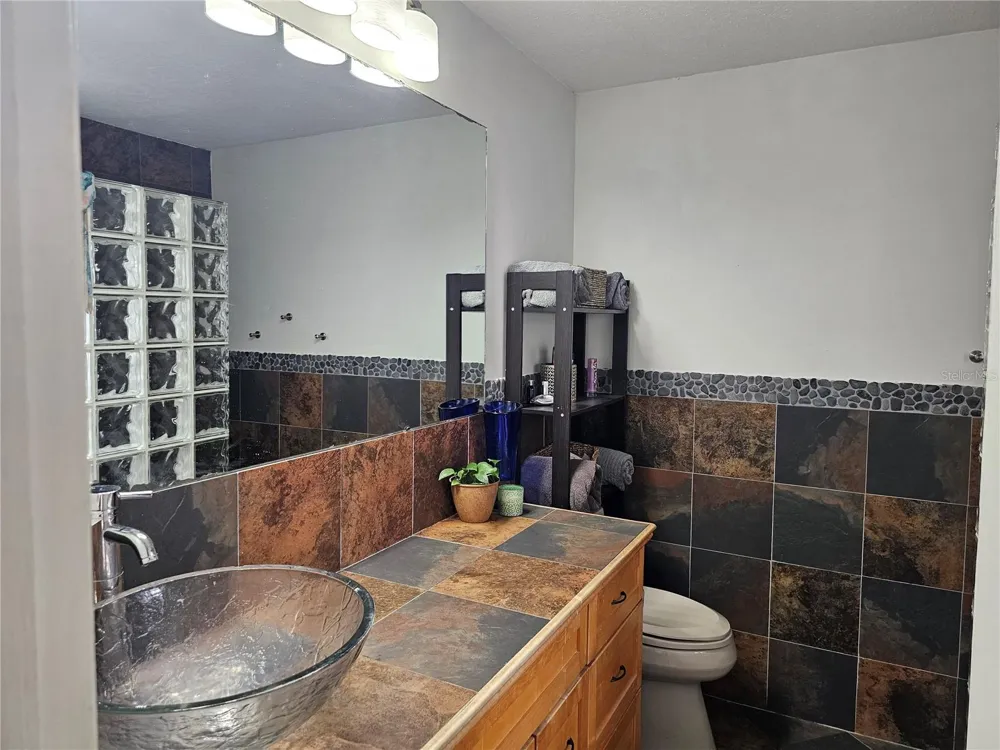 18322 SWAN LAKE DRIVE Lutz, FL 33549