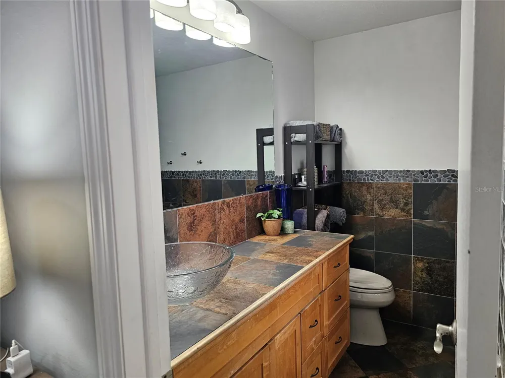 18322 SWAN LAKE DRIVE Lutz, FL 33549