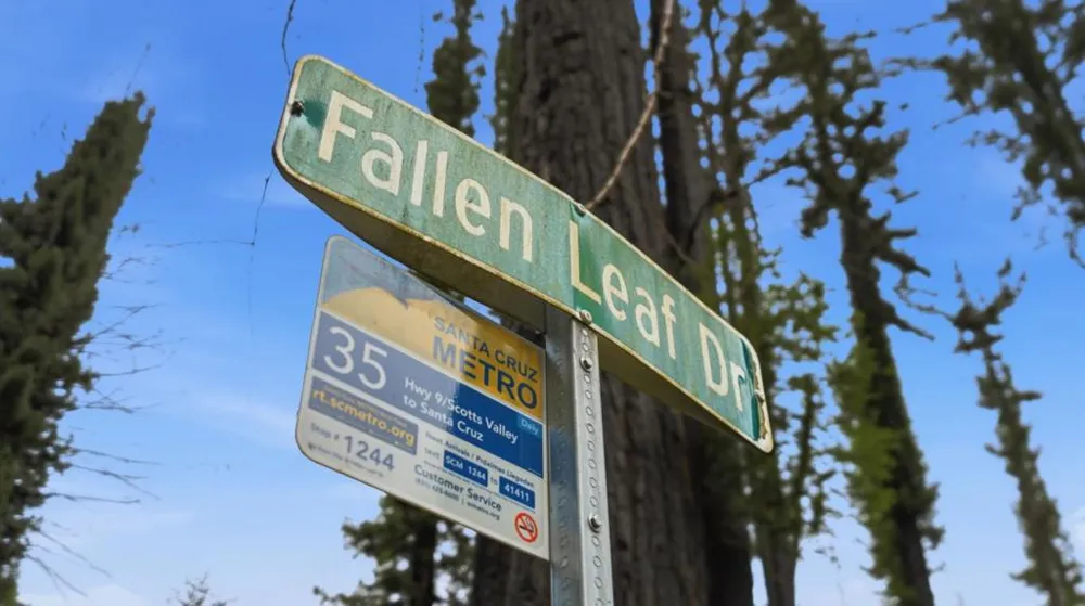 135 Fallen Leaf Drive Boulder Creek, CA 95006