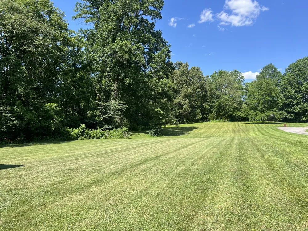 1420 Cantrell Dr Cottontown, TN 37048