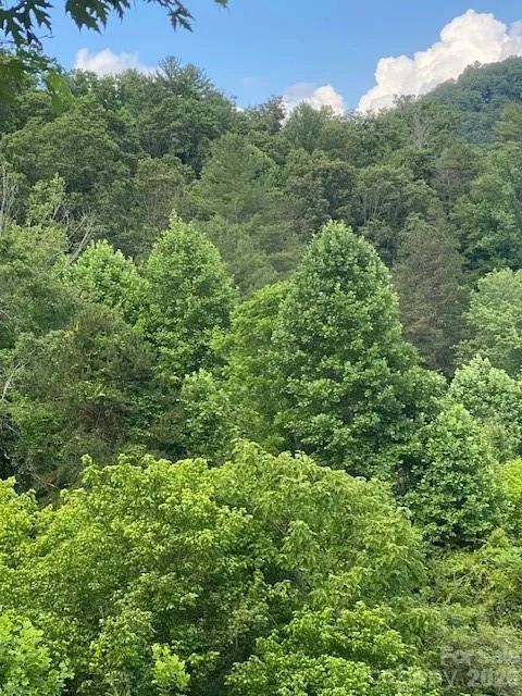 000 East Fork Road