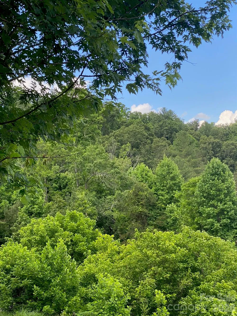 000 East Fork Road Marshall, NC 28753