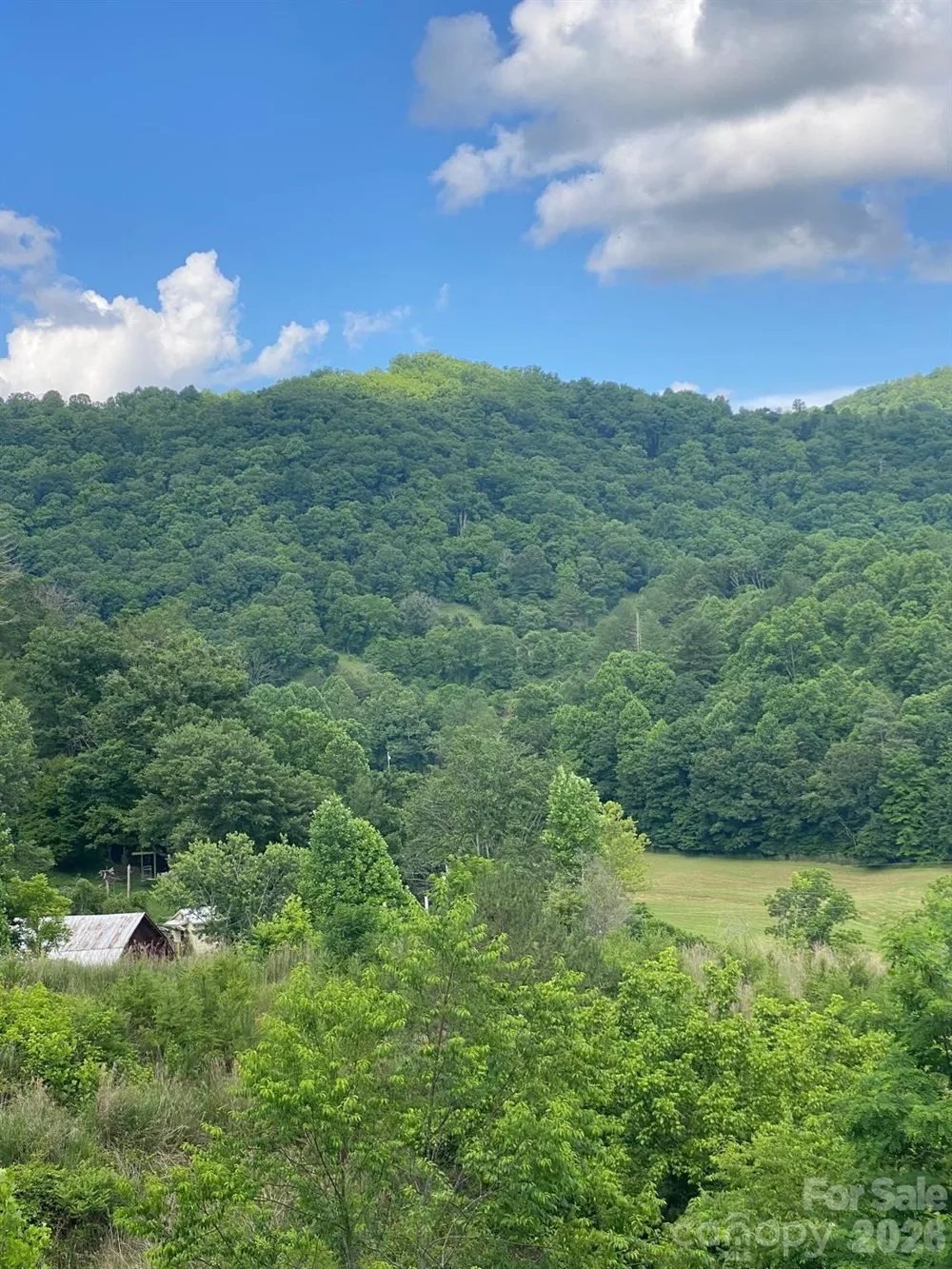 000 East Fork Road Marshall, NC 28753