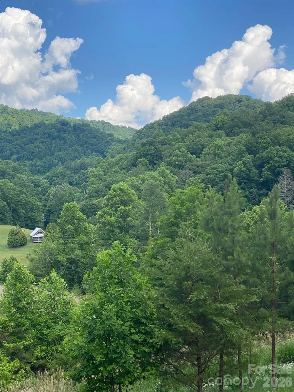 000 East Fork Road Marshall, NC 28753