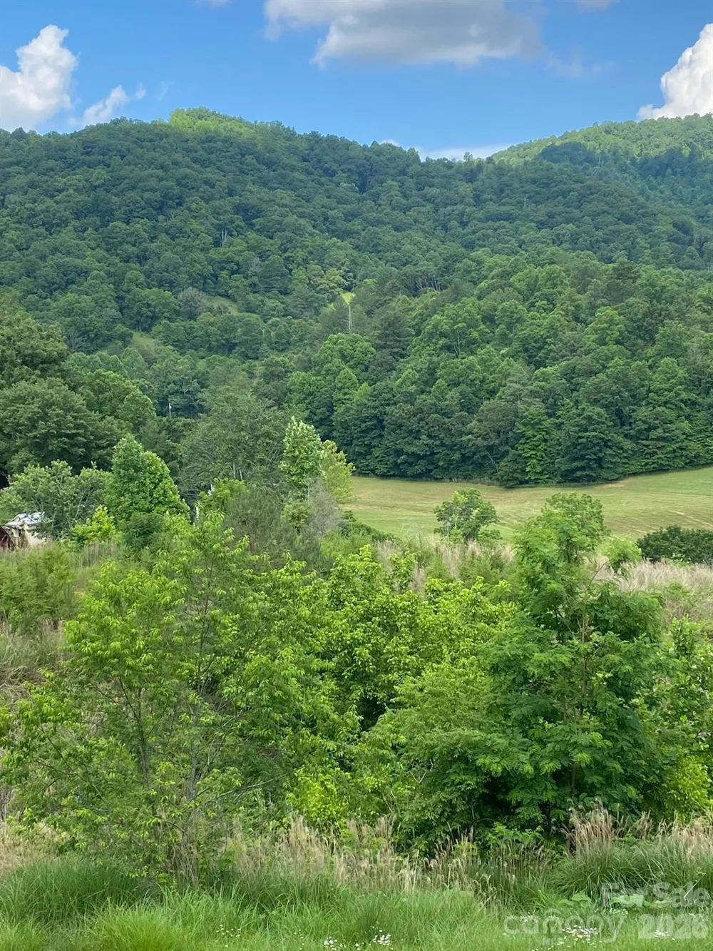 000 East Fork Road Marshall, NC 28753