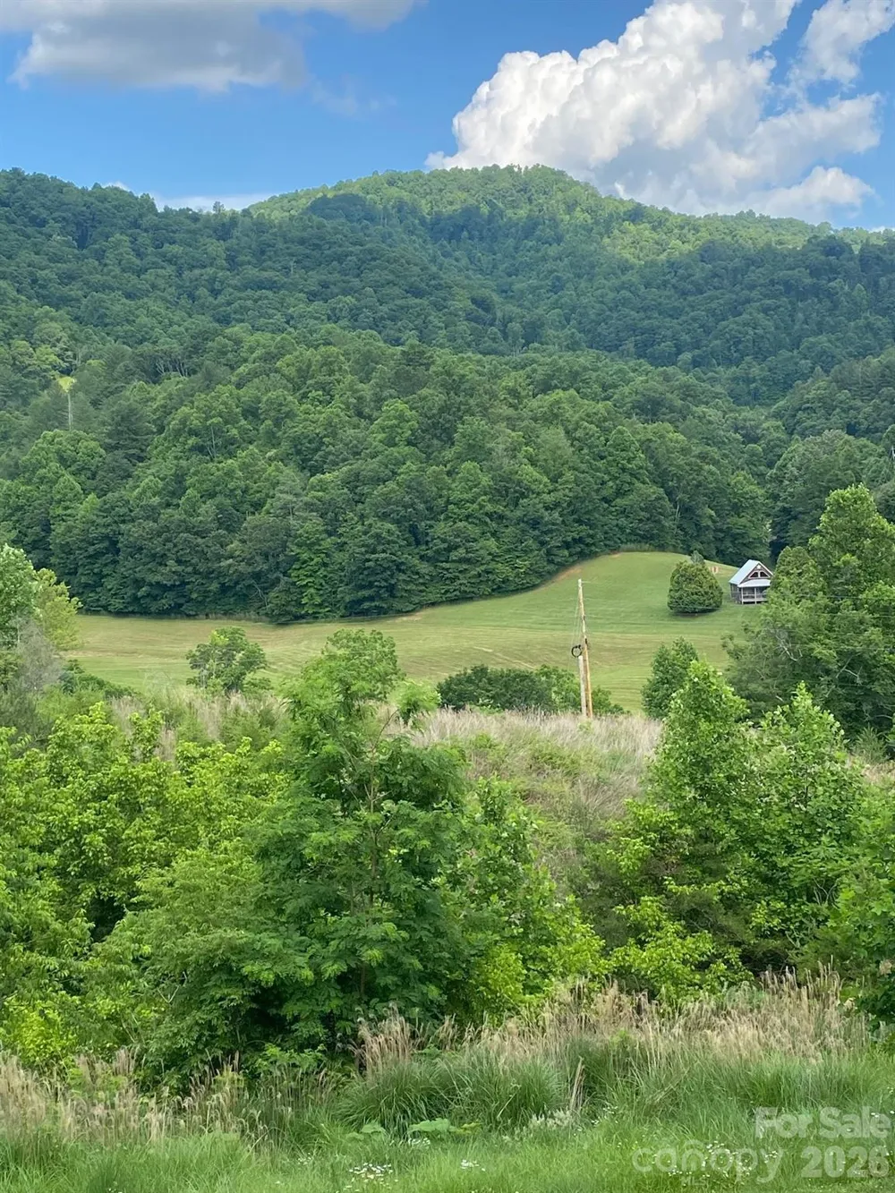 000 East Fork Road Marshall, NC 28753