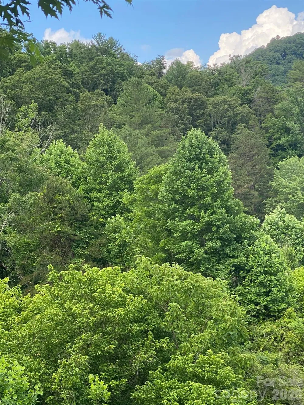 000 East Fork Road Marshall, NC 28753
