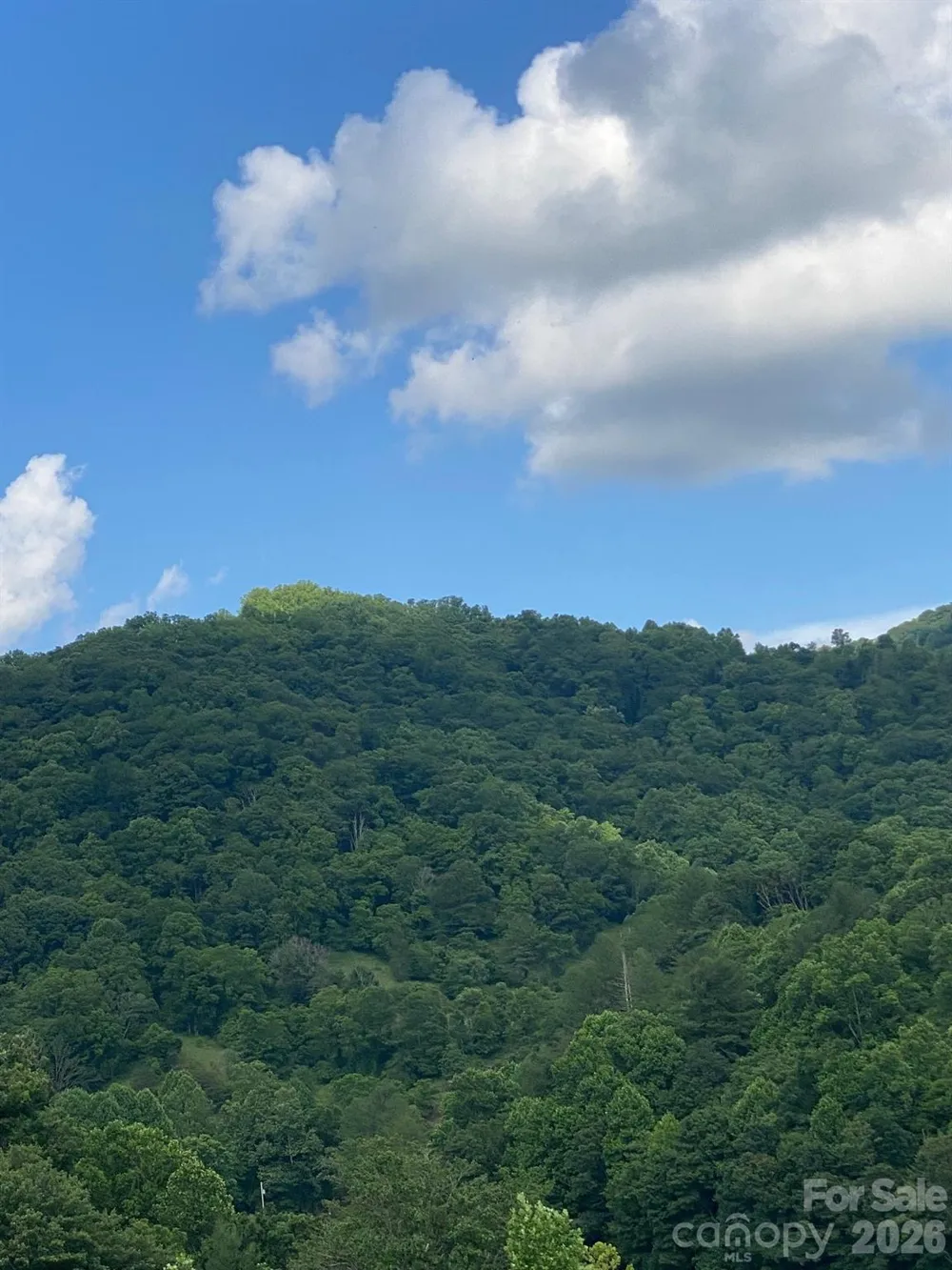 000 East Fork Road Marshall, NC 28753