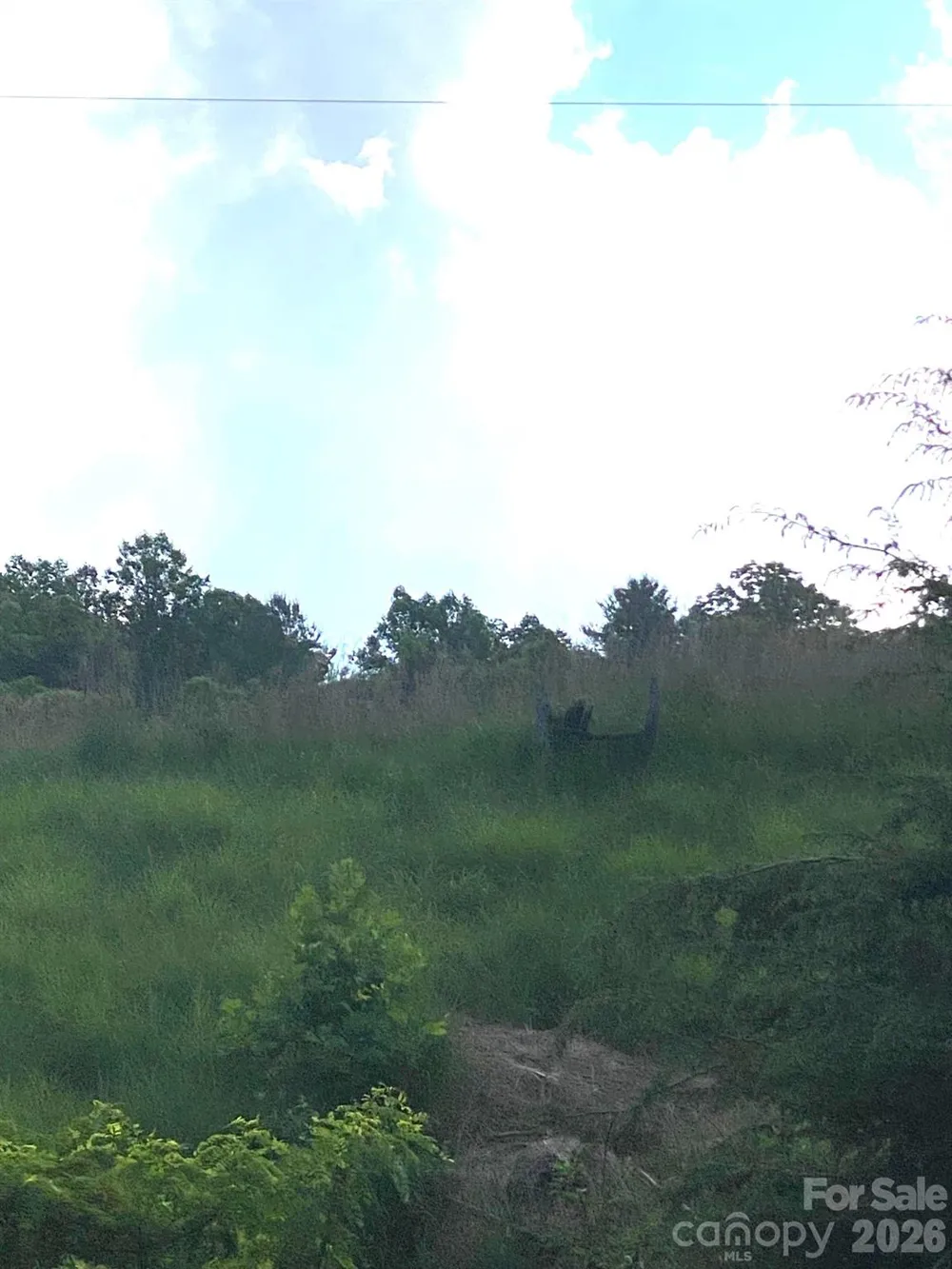 000 East Fork Road Marshall, NC 28753