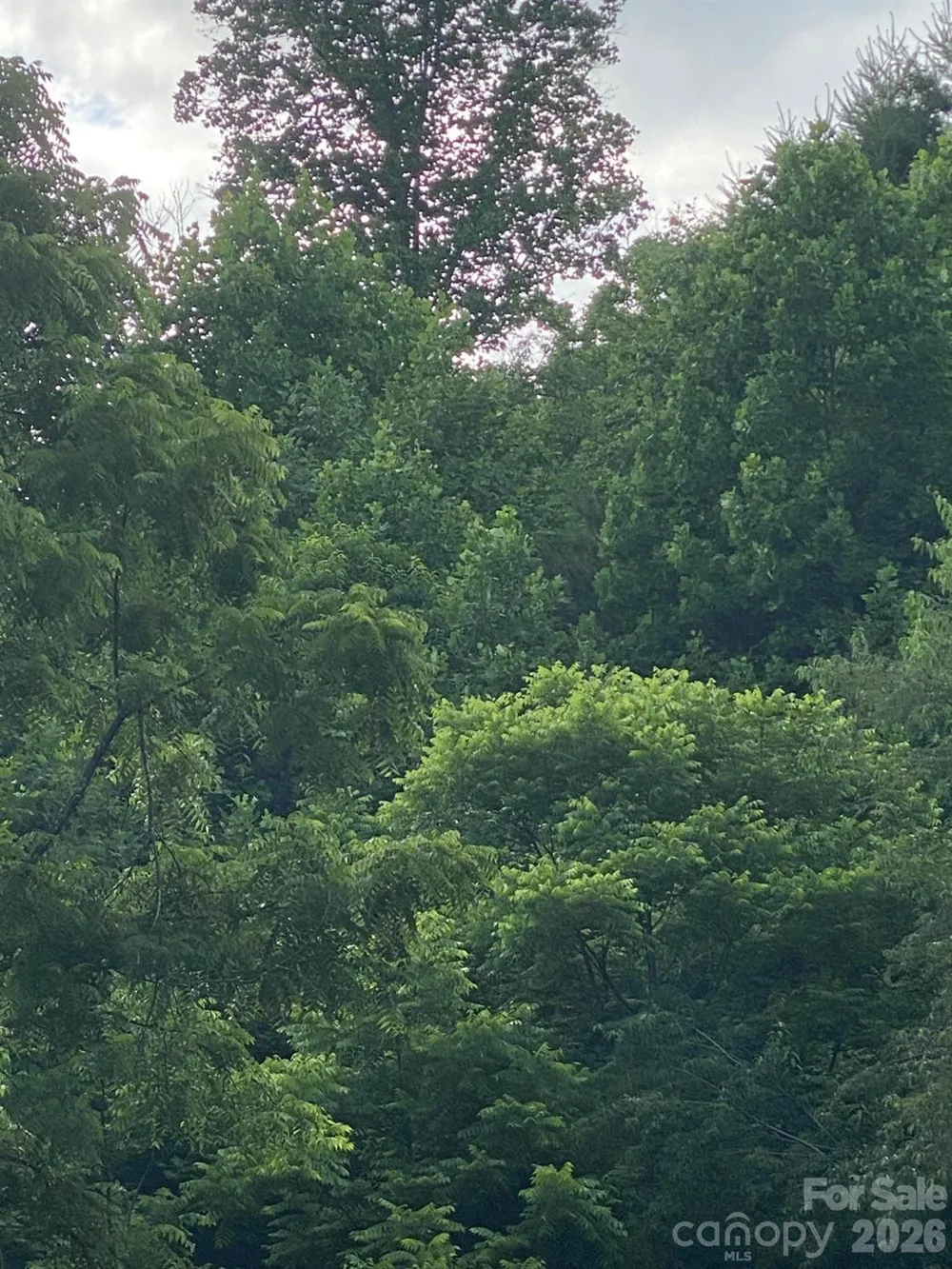 000 East Fork Road Marshall, NC 28753