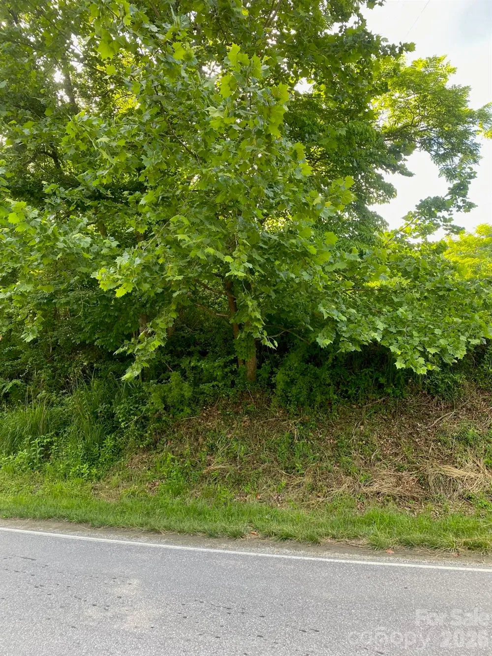 000 East Fork Road Marshall, NC 28753