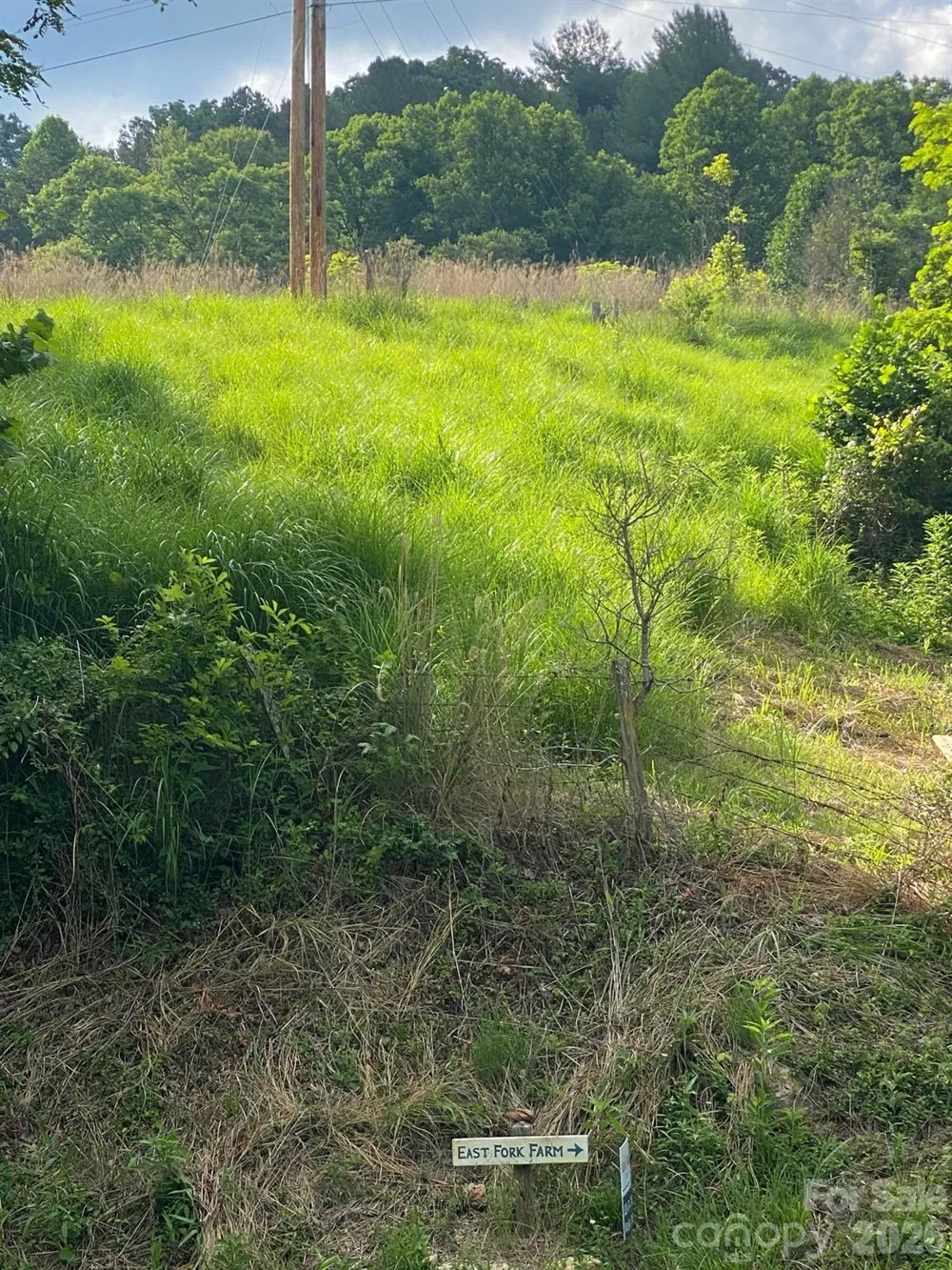 000 East Fork Road Marshall, NC 28753