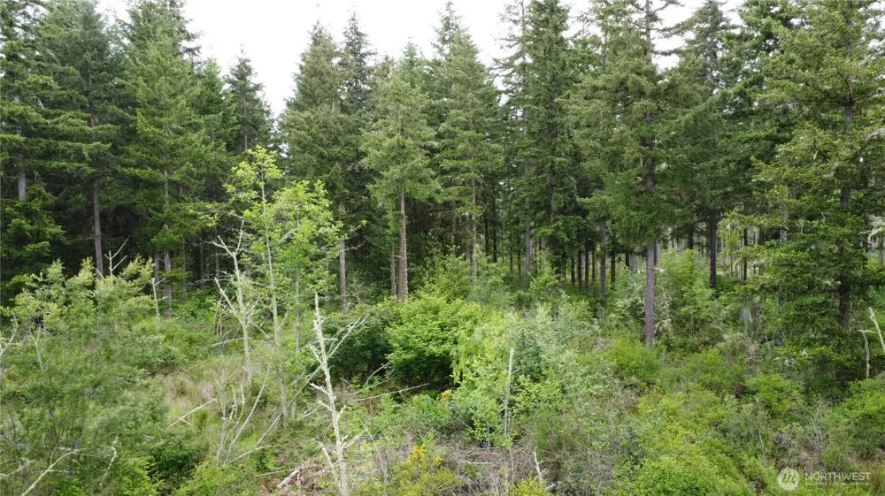 42911 28th Avenue E Eatonville, WA 98328