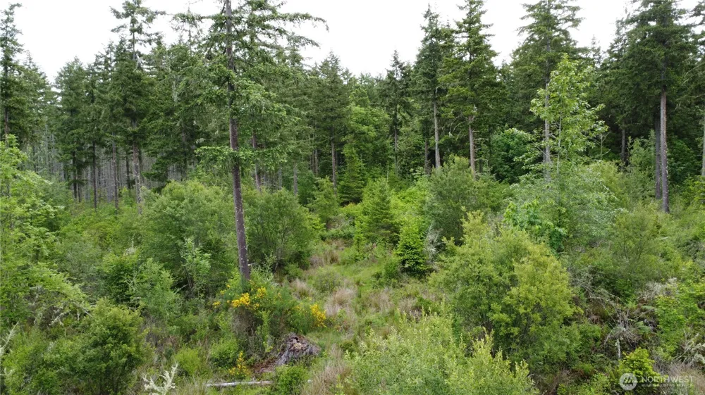 42911 28th Avenue E Eatonville, WA 98328
