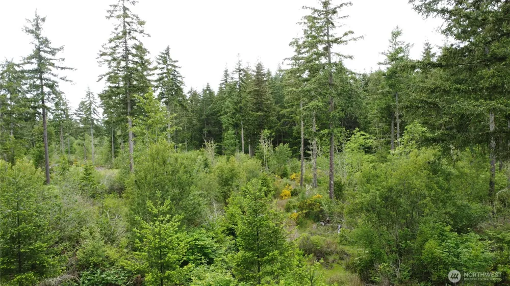 42911 28th Avenue E Eatonville, WA 98328