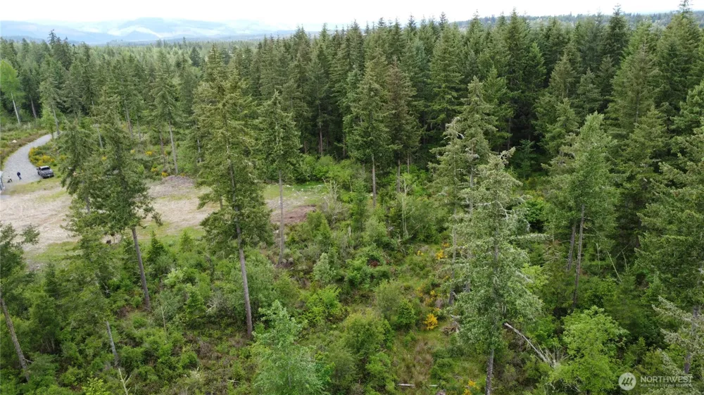 42911 28th Avenue E Eatonville, WA 98328