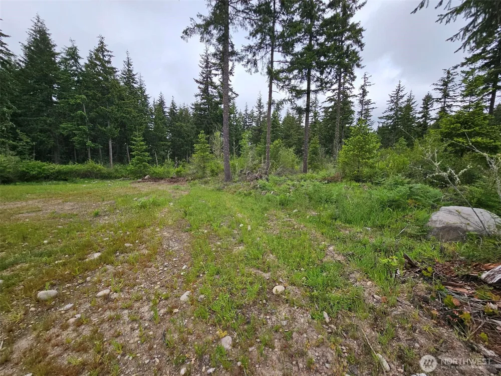 42911 28th Avenue E Eatonville, WA 98328
