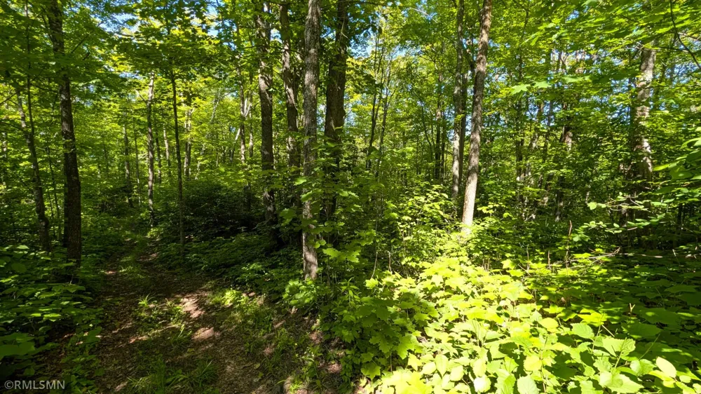 5030 Mount Rockwood Road Silver Bay, MN 55614
