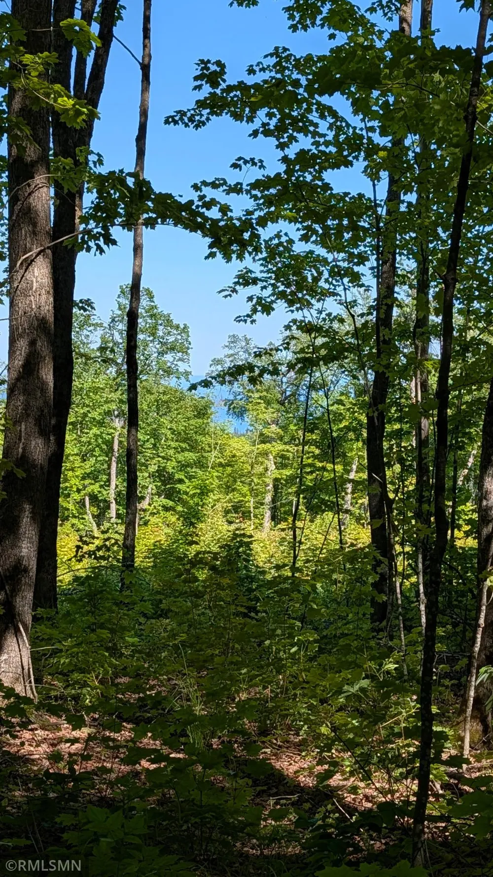 5030 Mount Rockwood Road Silver Bay, MN 55614