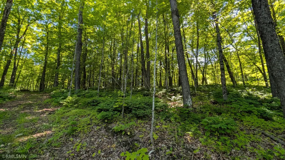 5030 Mount Rockwood Road Silver Bay, MN 55614