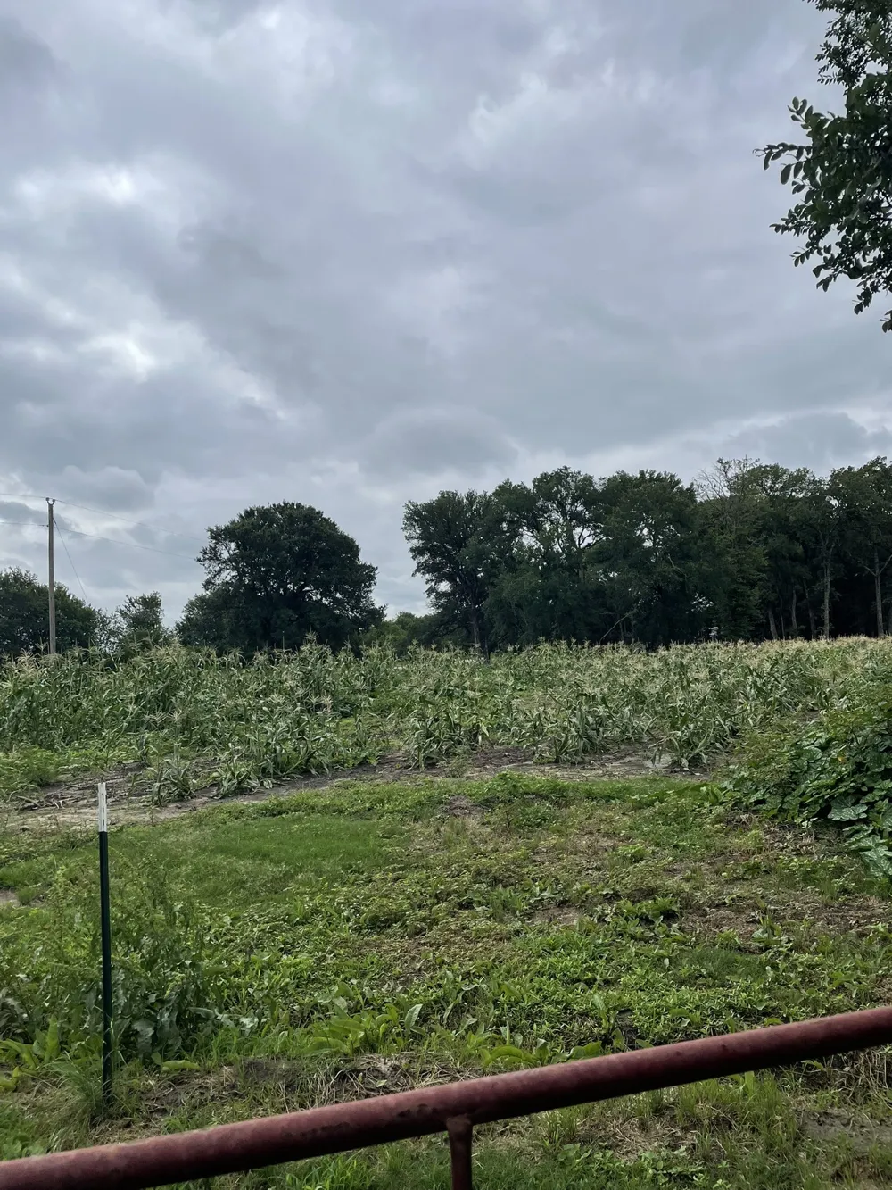Private Road 2545 Quinlan, TX 75474
