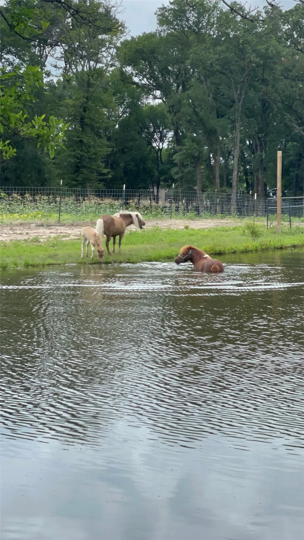 Private Road 2545 Quinlan, TX 75474