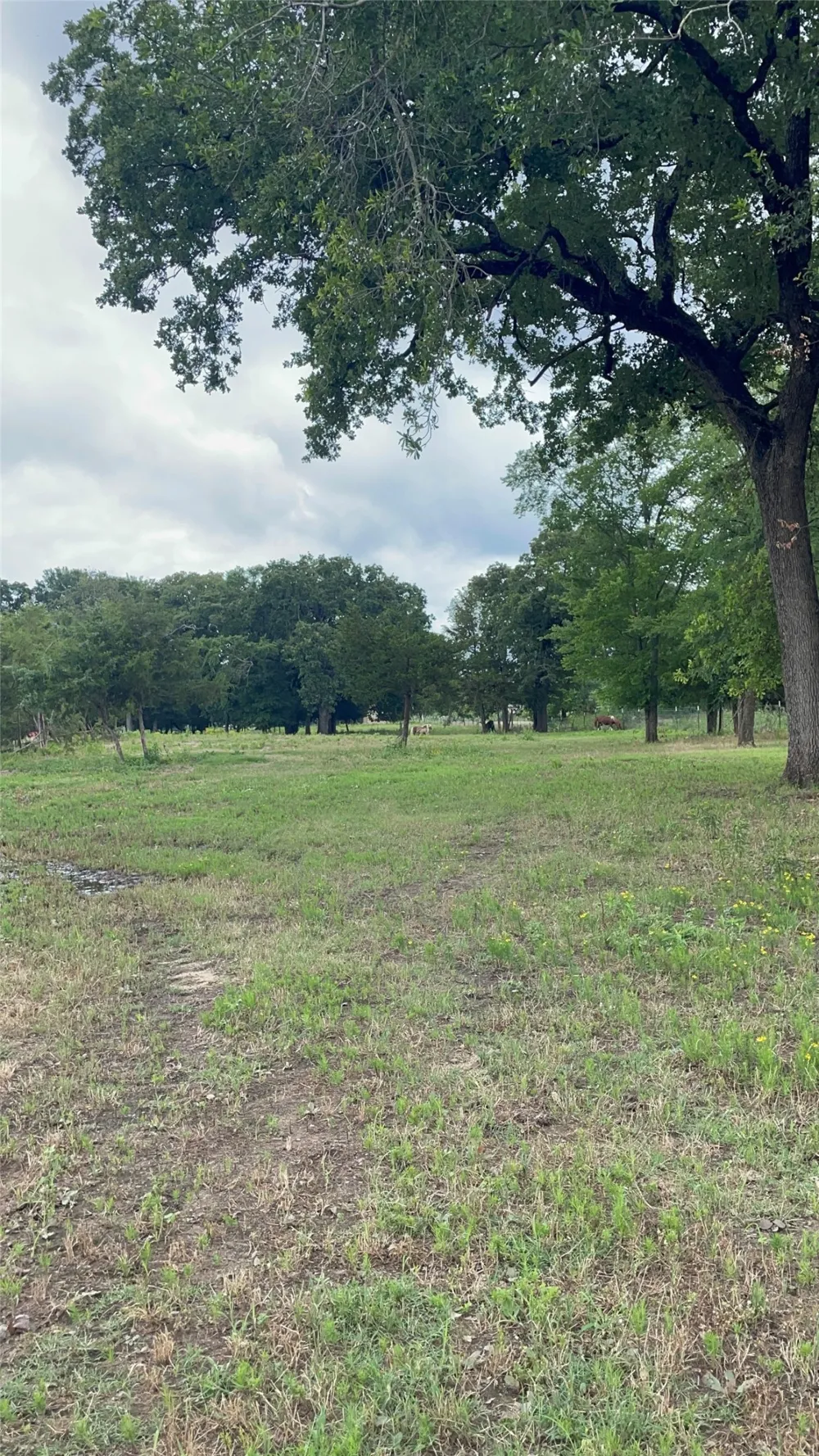 Private Road 2545 Quinlan, TX 75474