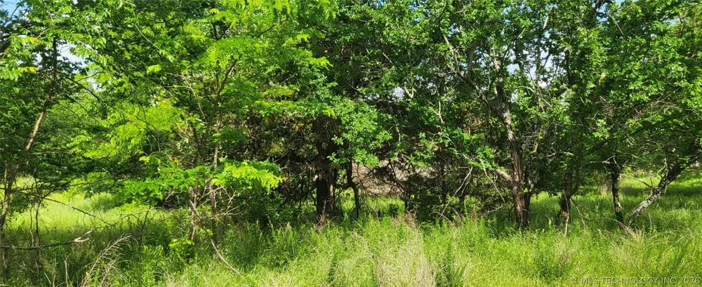 Oak McAlester, OK 74501