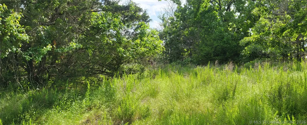 Oak McAlester, OK 74501