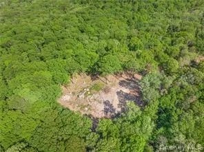 Lot 5 S White Rock Road Holmes, NY 12564