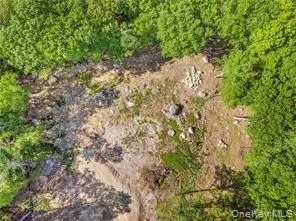Lot 5 S White Rock Road Holmes, NY 12564