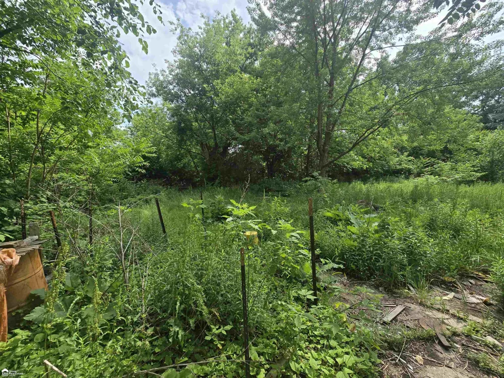 3233 Home Avenue Mt Morris City, MI 48504
