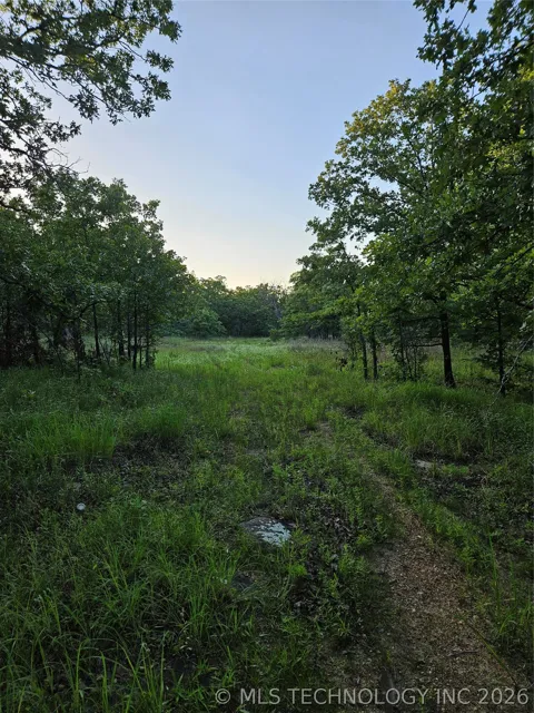 Hickory Lane
