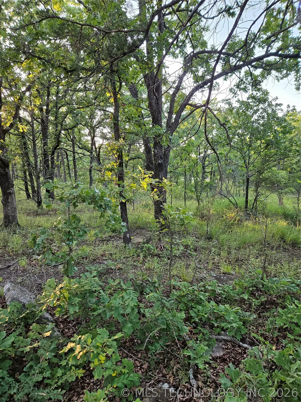 Hickory Lane Stuart, OK 74570