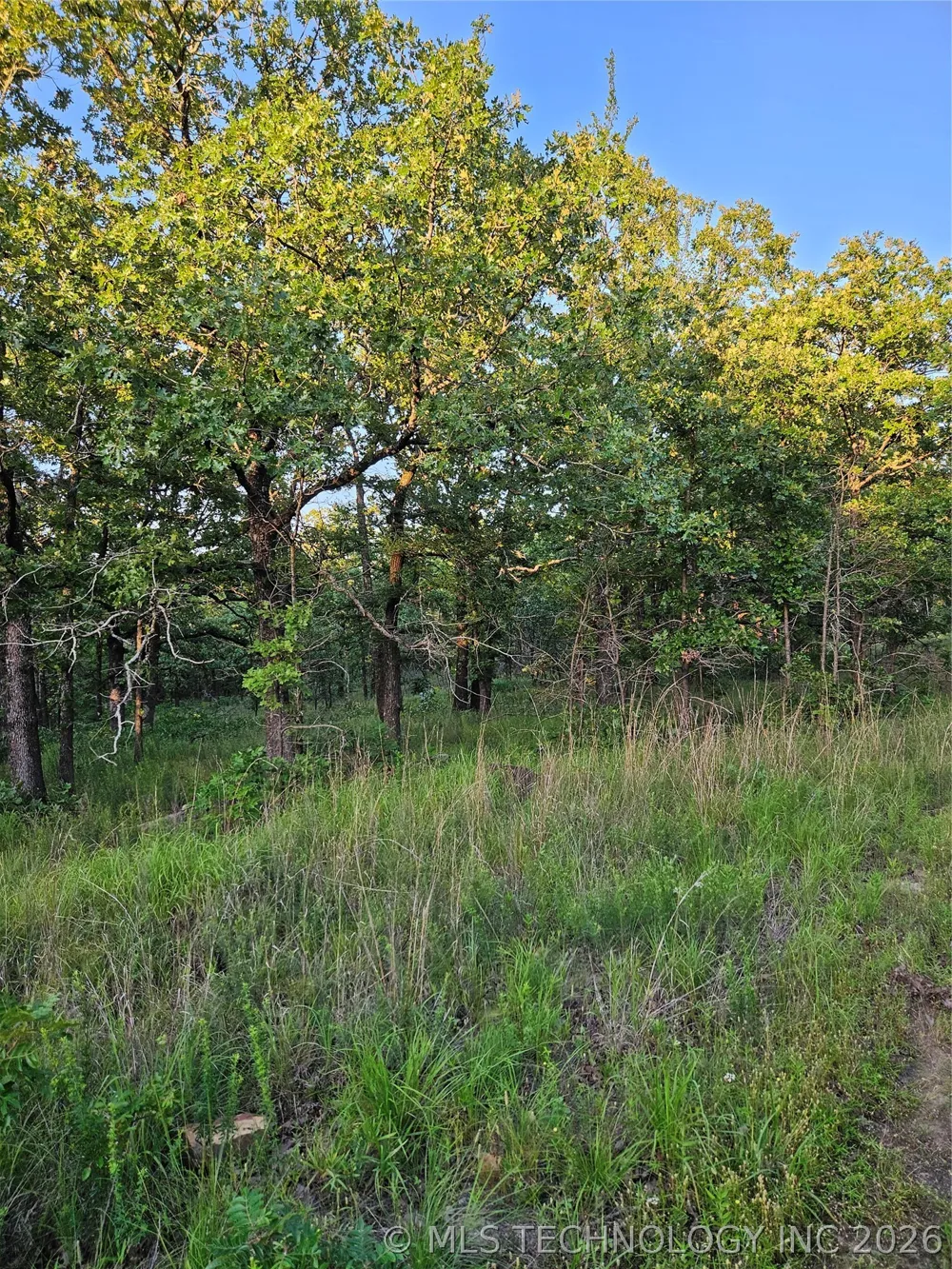 Hickory Lane Stuart, OK 74570