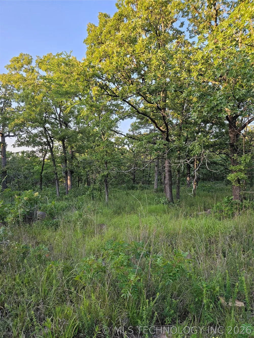 Hickory Lane Stuart, OK 74570